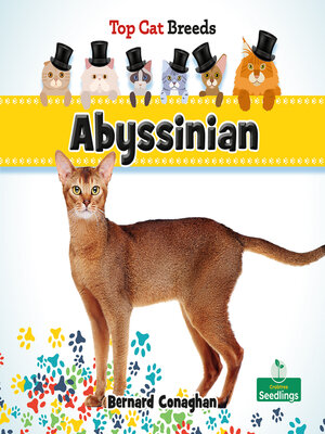 cover image of Abyssinian